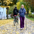 mobilitaet walking