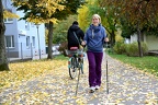 mobilitaet walking